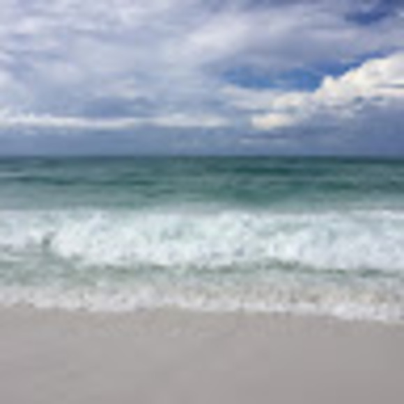 Meet your Posher, Tessa - Picture 1 of 1